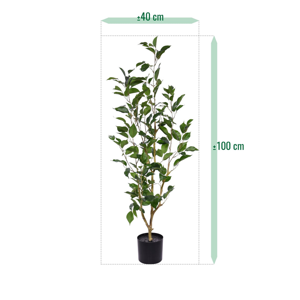 Ficus Exotica Kunstplant NT 100cm