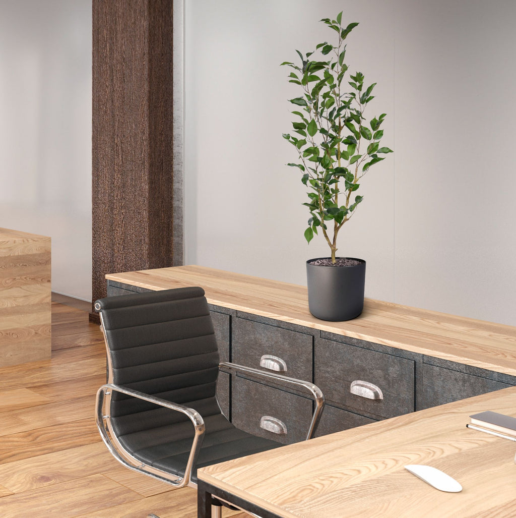 Ficus Exotica Kunstplant NT 100cm