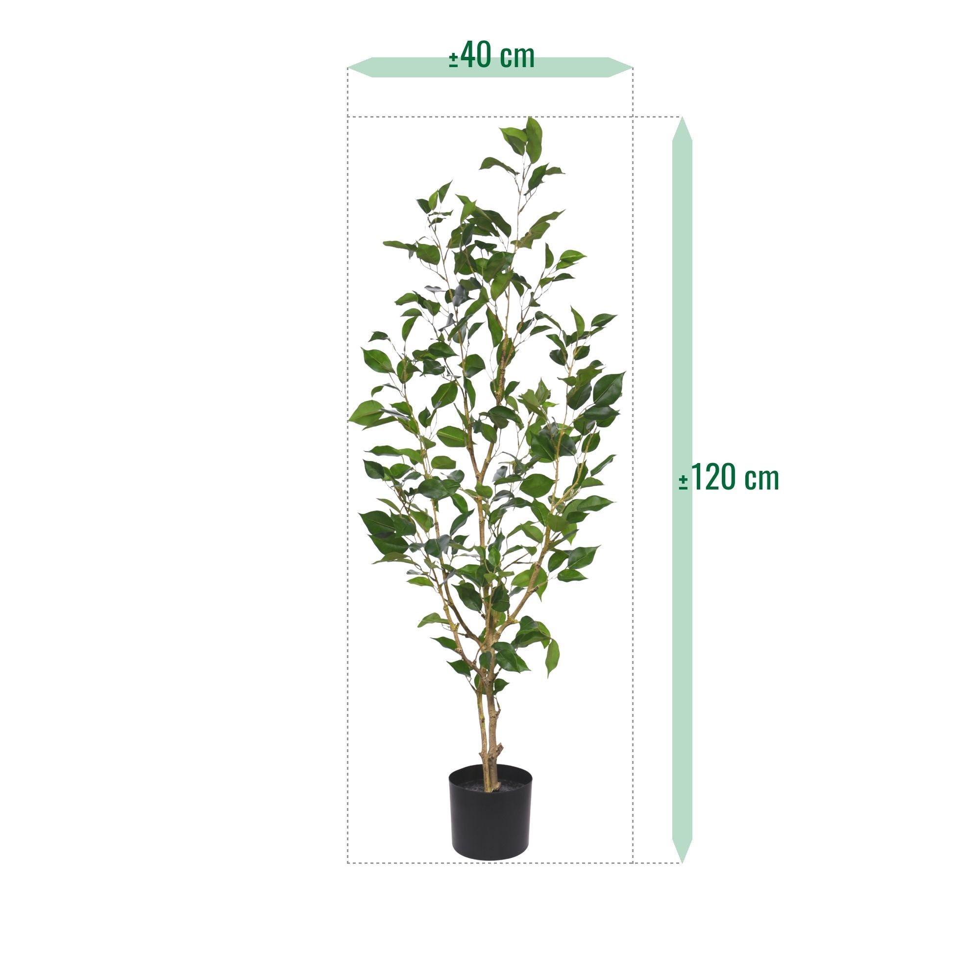 Ficus Exotica Kunstplant NT 120cm