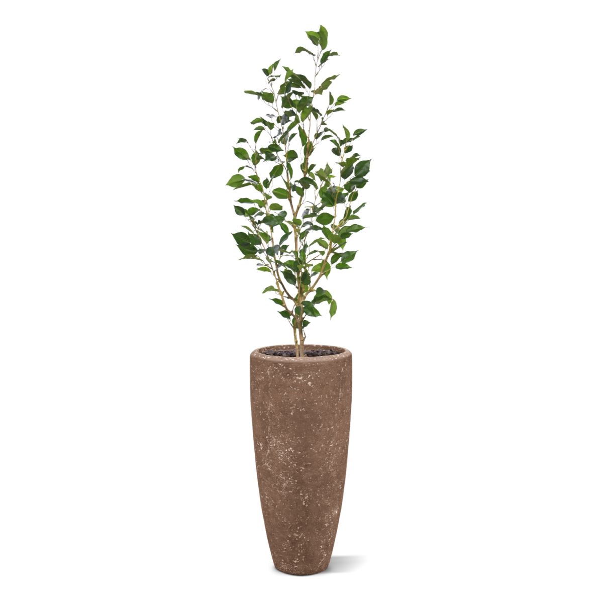 Ficus Exotica Kunstplant NT 120cm