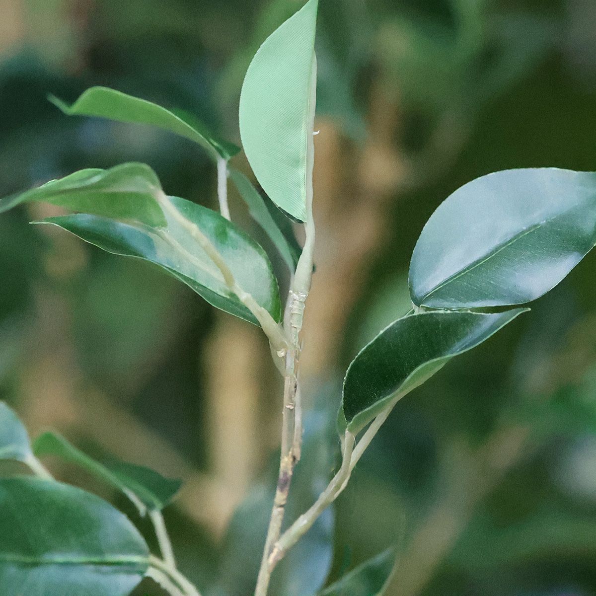 Ficus Exotica Kunstplant NT 120cm