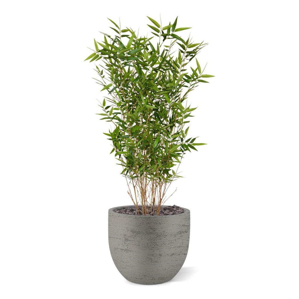 Oriental Bamboe kunstplant 100cm