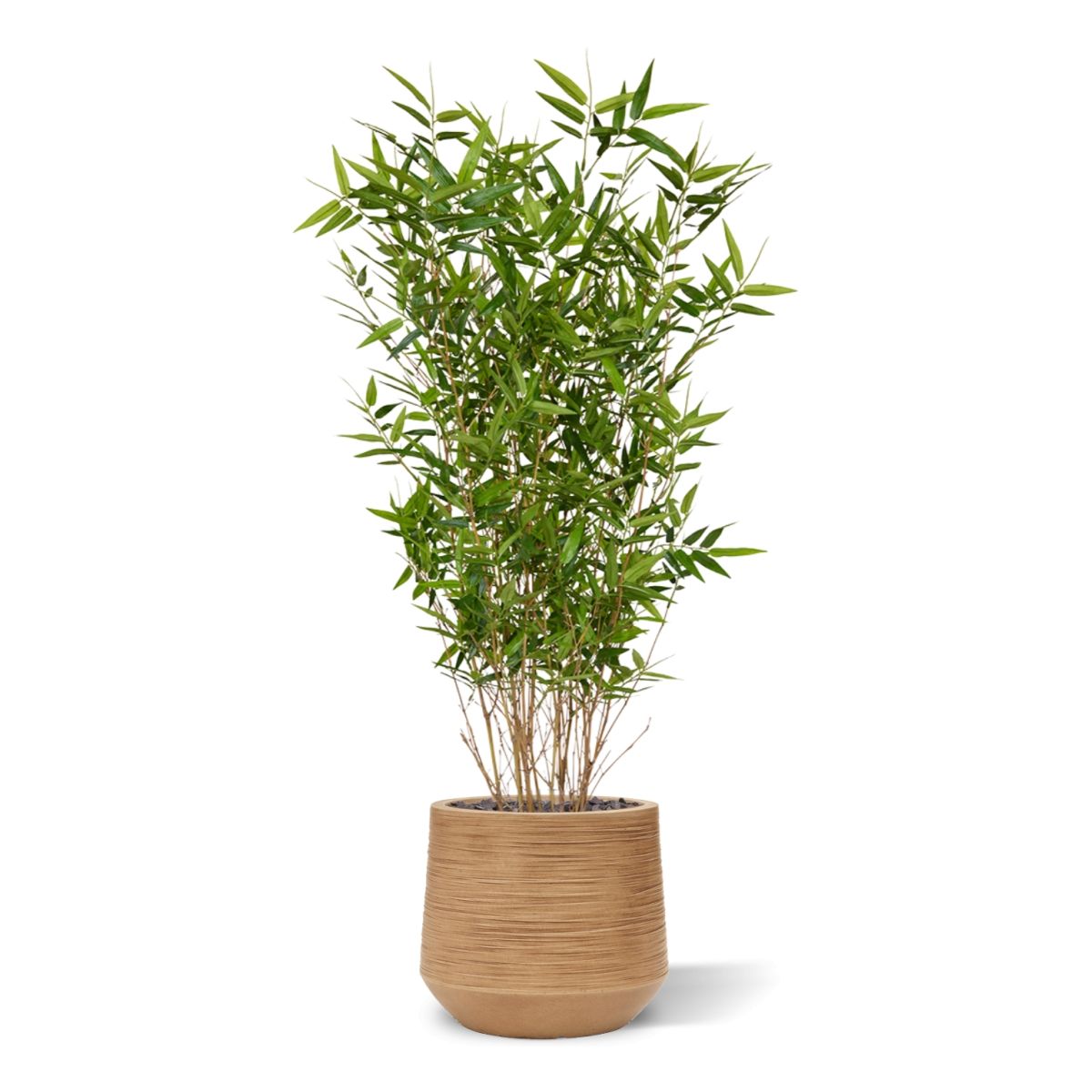 Oriental Bamboe kunstplant 100cm