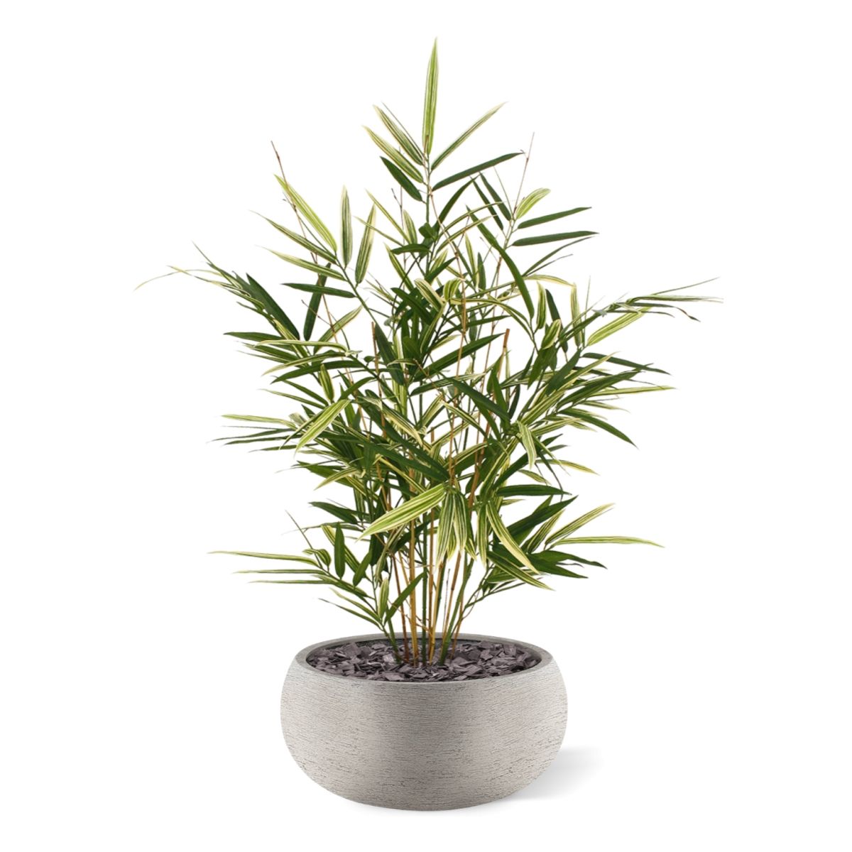 Royal Bamboe kunstplant 70cm - bont