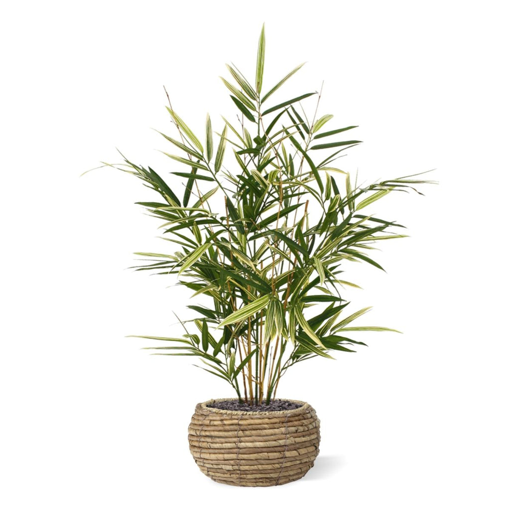 Royal Bamboe kunstplant 70cm - bont