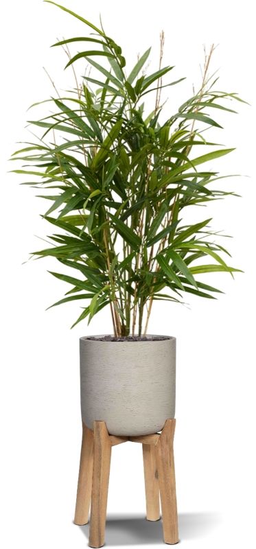 Royal Bamboe kunstplant 70cm - groen
