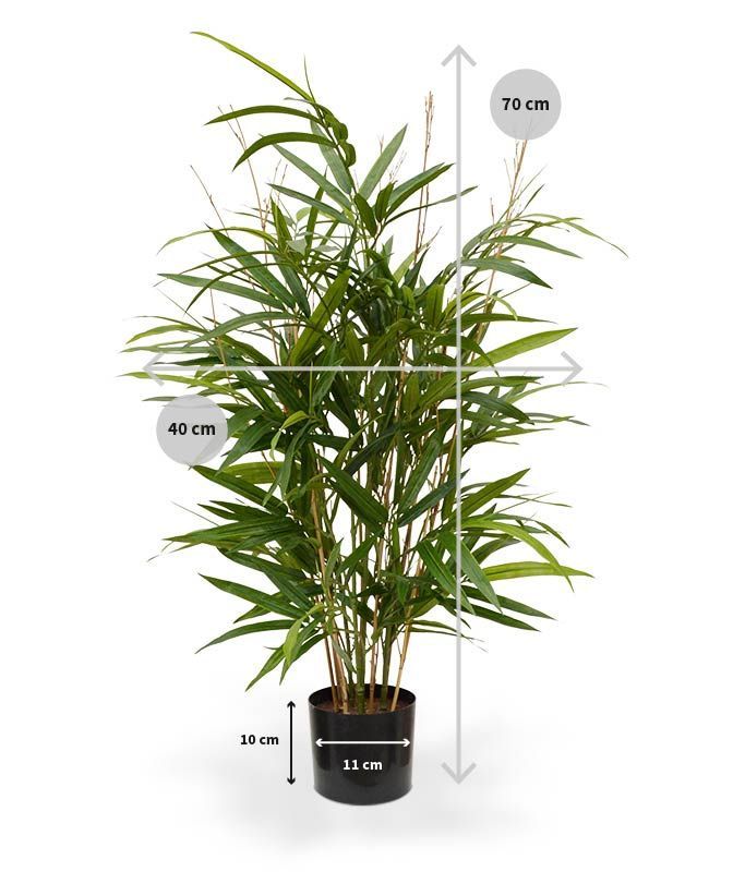Royal Bamboe kunstplant 70cm - groen