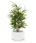 Royal Bamboe kunstplant 70cm - groen