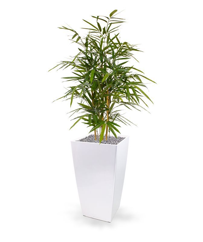 Royal Bamboe kunstplant 95cm
