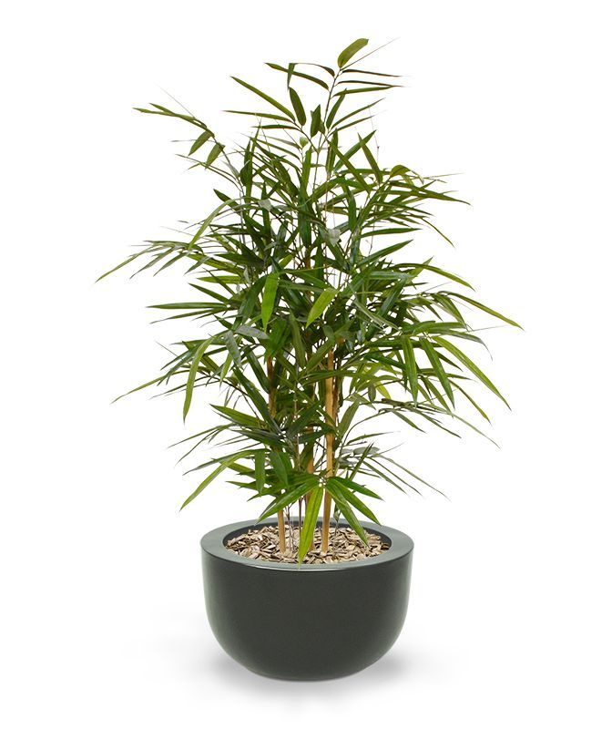 Royal Bamboe kunstplant 95cm