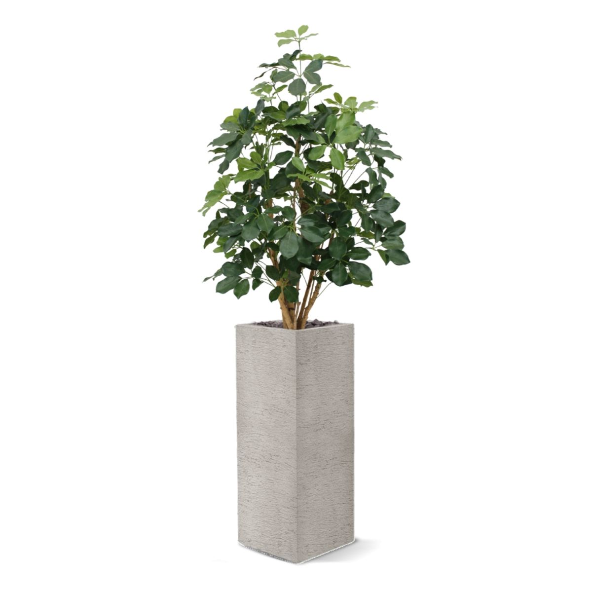 Schefflera Exotica kunstplant 120cm