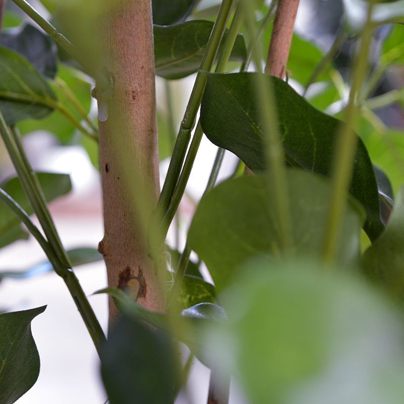 Schefflera Exotica kunstplant 120cm