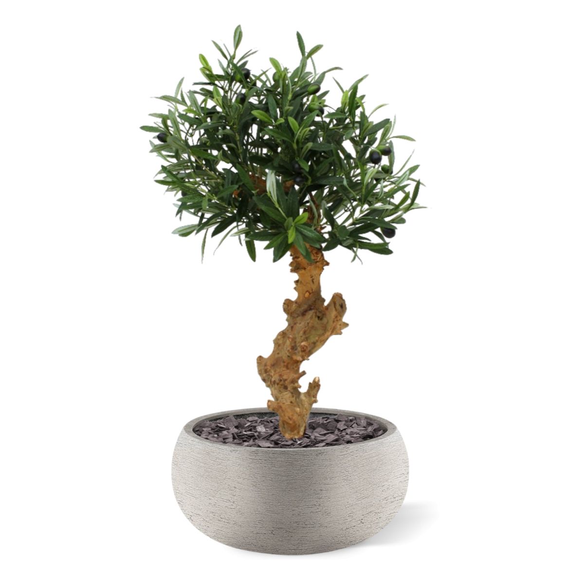 Olijf Bonsai deluxe kunstboom op voet 60cm
