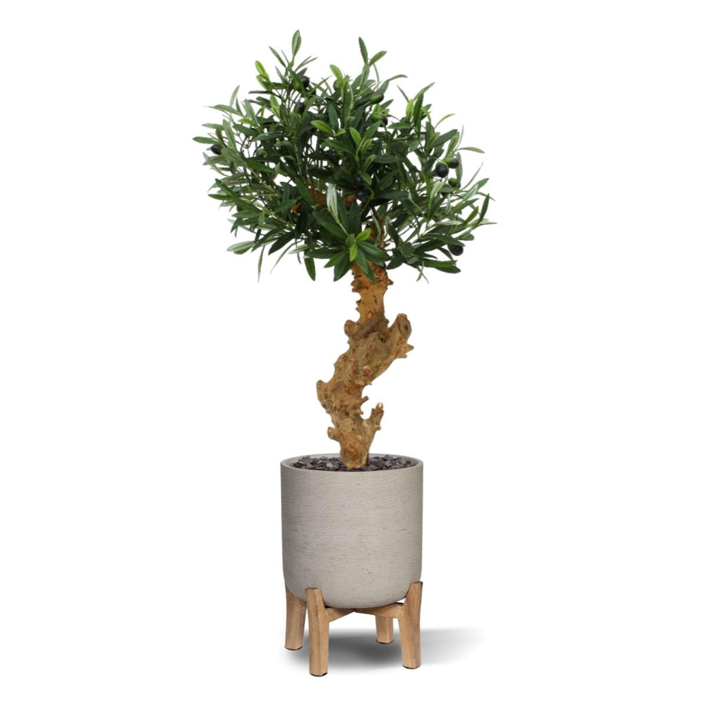 Olijf Bonsai deluxe kunstboom op voet 60cm
