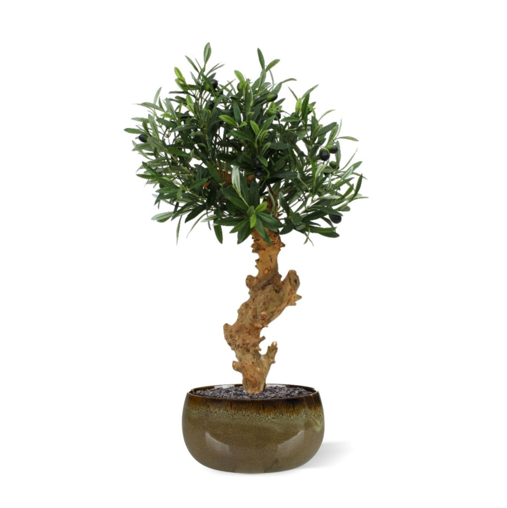 Olijf Bonsai deluxe kunstboom op voet 60cm