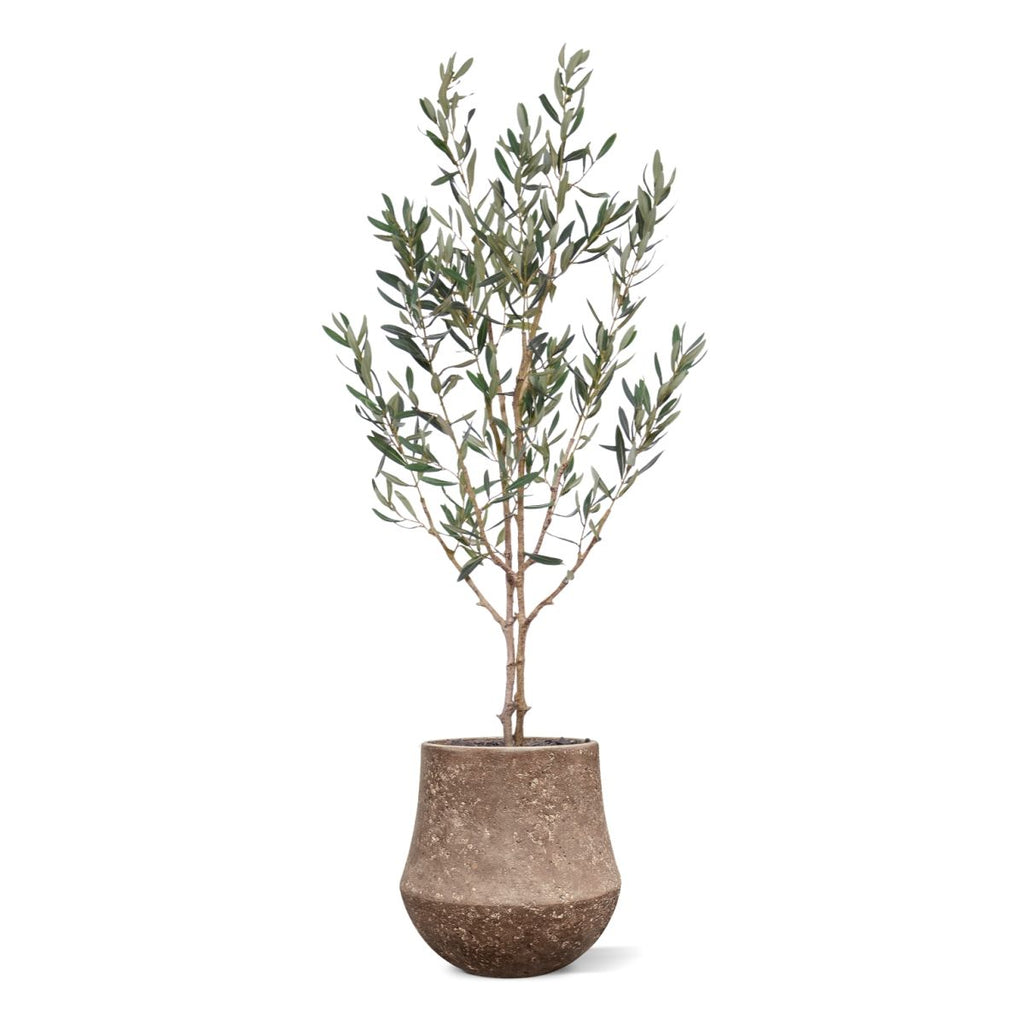 Olijf Kunstboom N 120cm