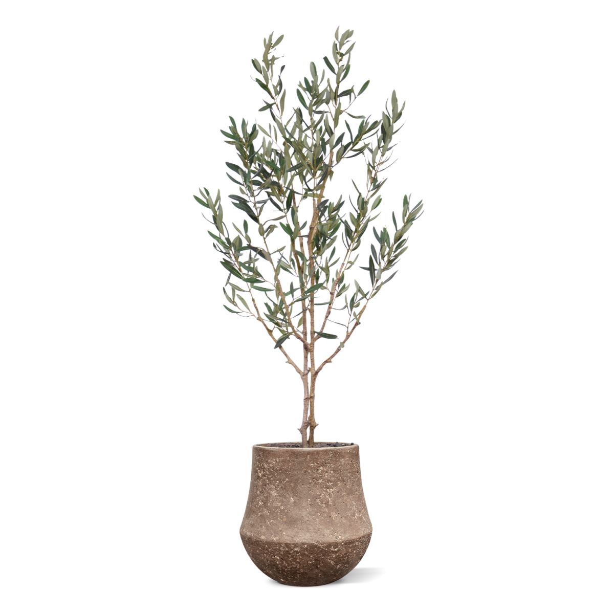 Olijf Kunstboom N 120cm