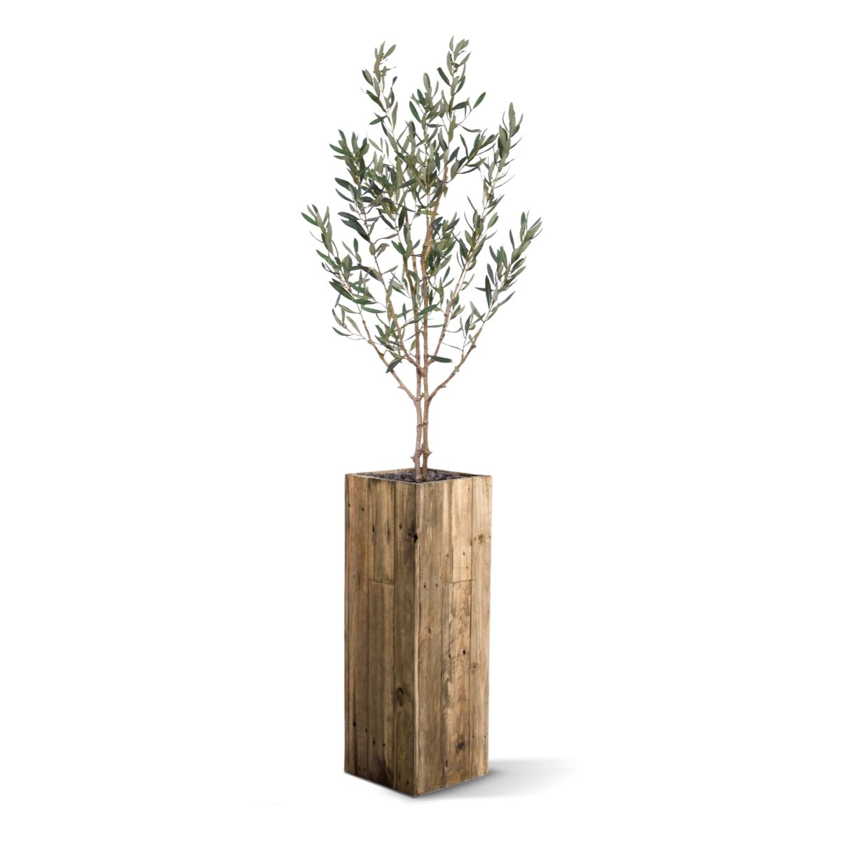 Olijf Kunstboom N 120cm