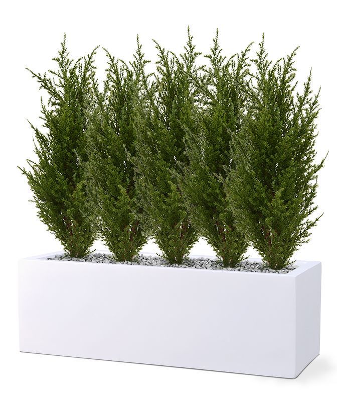 Conifeer kunstplant 50cm