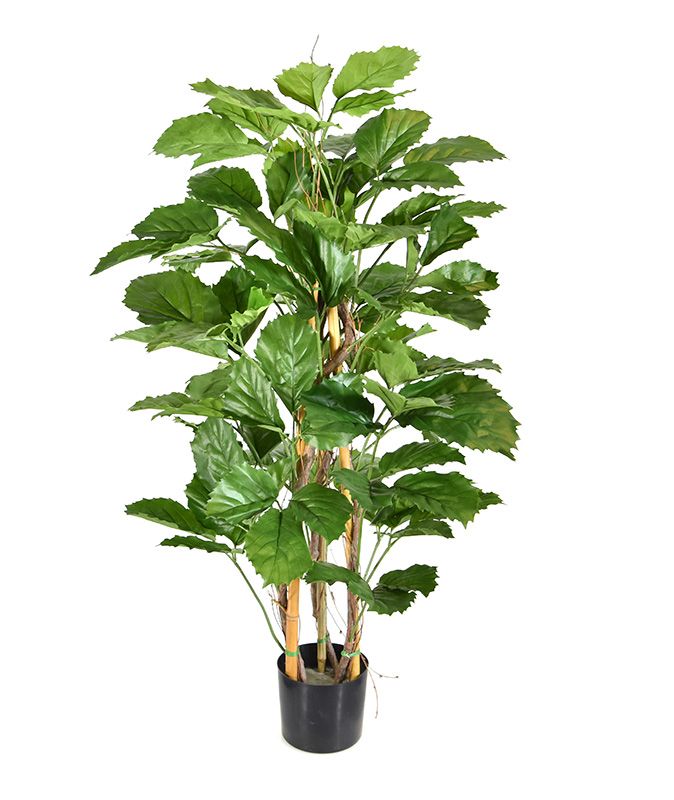 Tetrastigma kunstplant 120cm