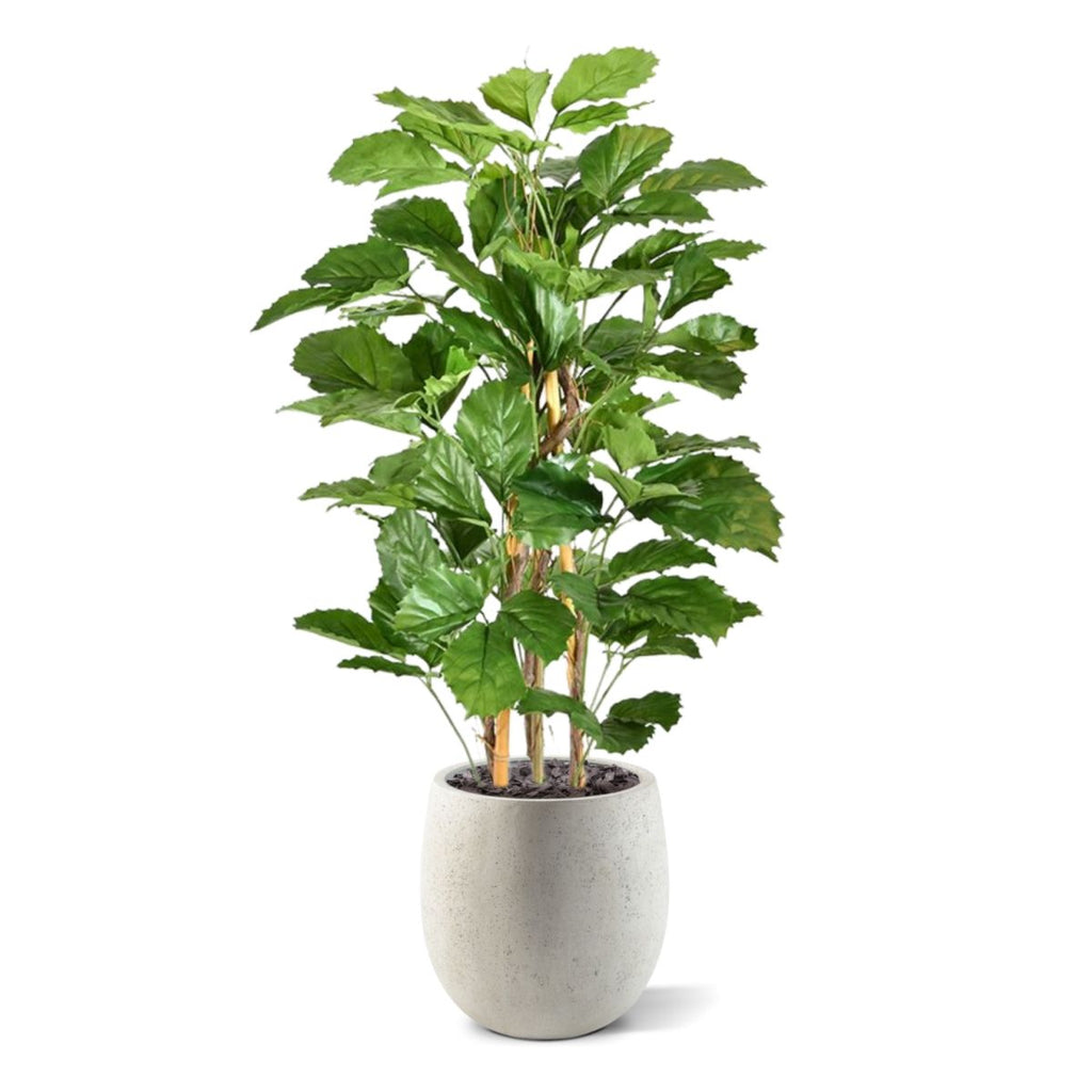 Tetrastigma kunstplant 120cm