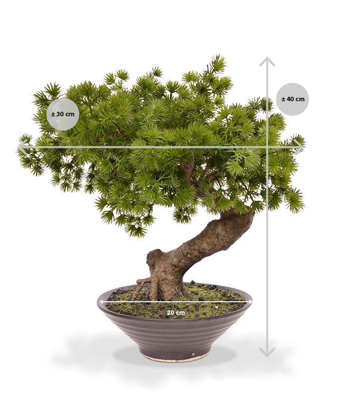 Pinus Bonsai kunstplant in schaal 40cm