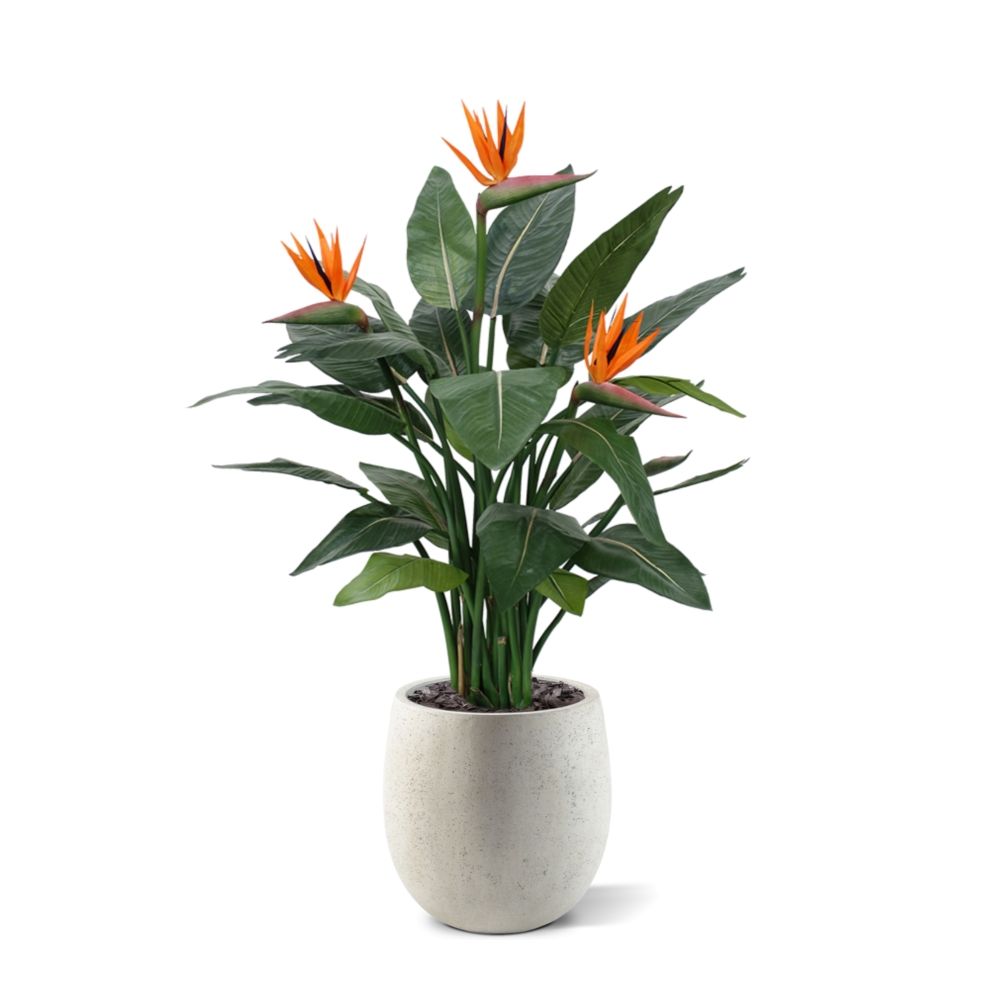 Strelitzia kunstplant deluxe 115cm