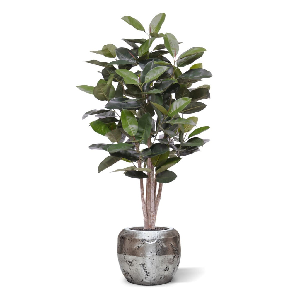 Elastica Robusta kunstplant 170cm groen