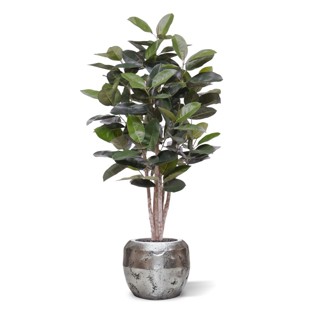 Elastica Robusta kunstplant 170cm groen