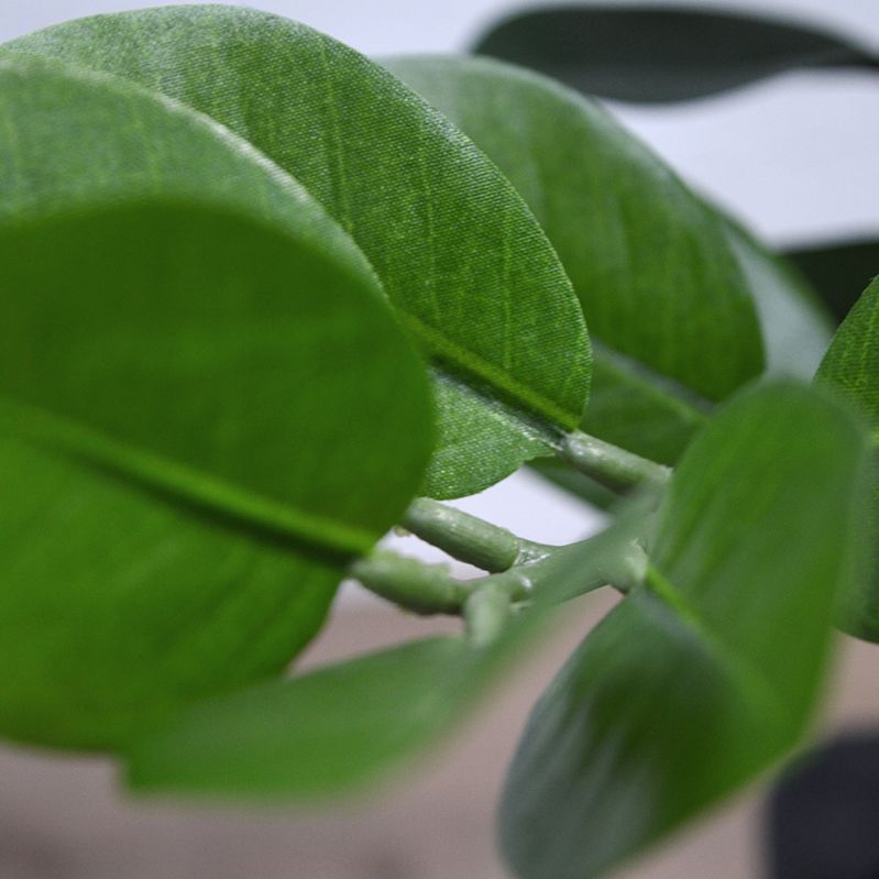 Zamioculcas kunstplant 55cm