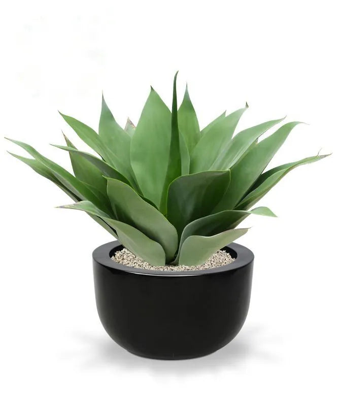 Buitenkunst Agaveplant 50 cm UV