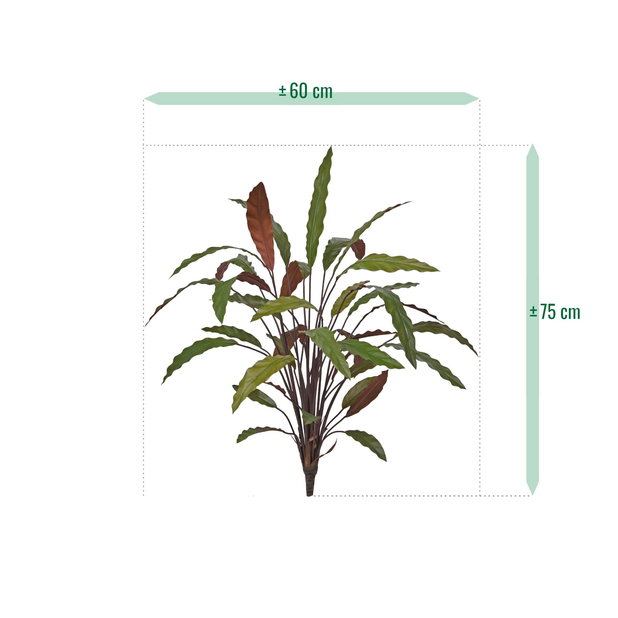 Calathea 75cm Kunstplant Groen/rood