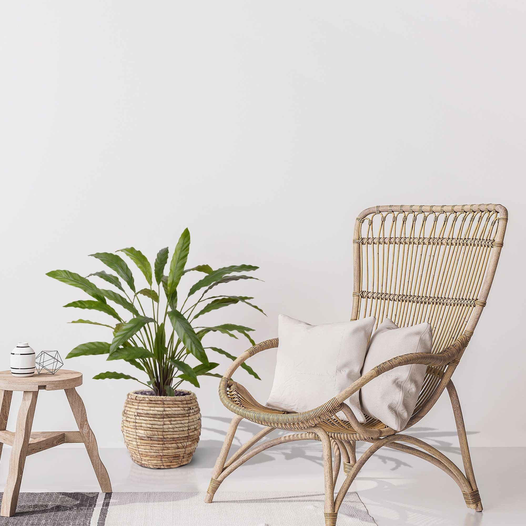 Calathea 75cm Kunstplant groen