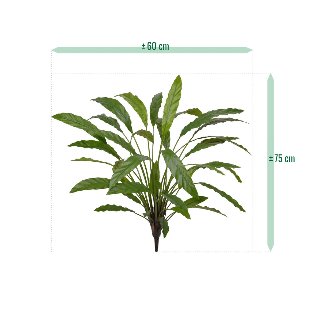 Calathea 75cm Kunstplant groen