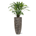 Calathea kunstplant 85cm - groen