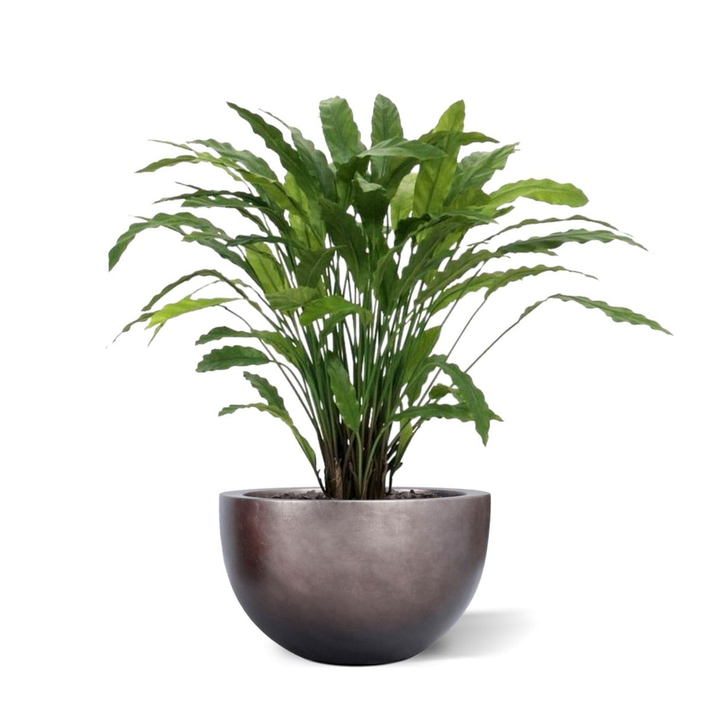 Calathea kunstplant 85cm - groen