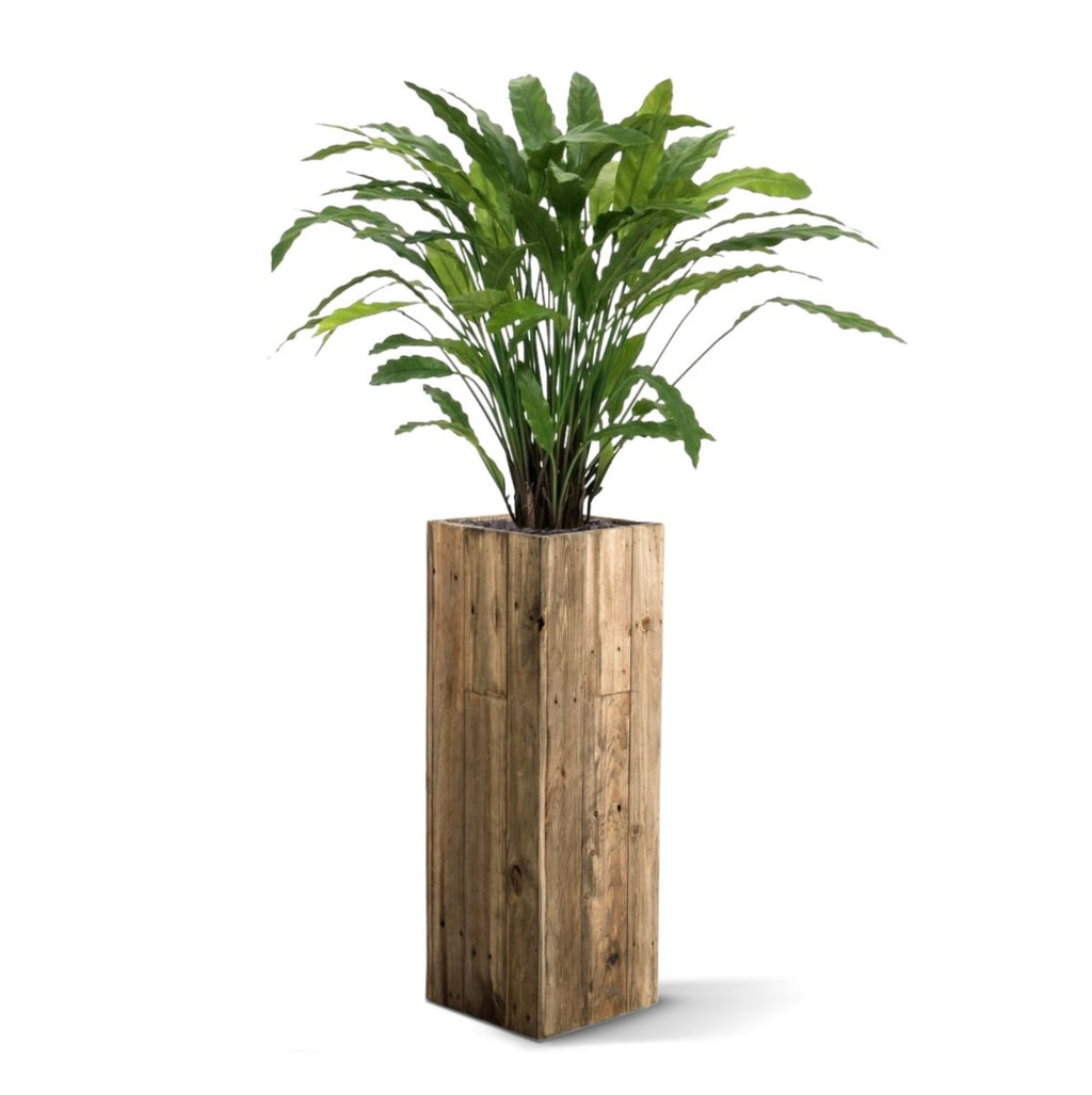 Calathea kunstplant 85cm - groen
