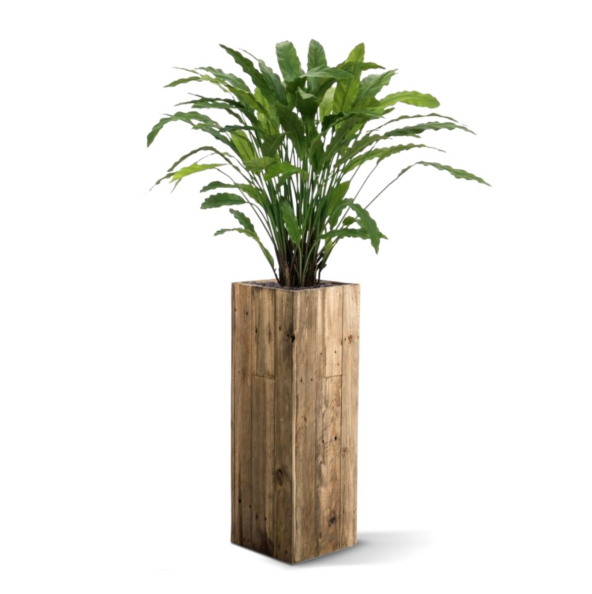 Calathea kunstplant 85cm - groen