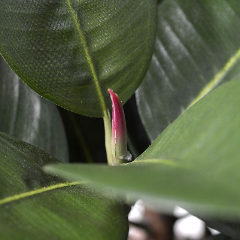 Elastica Robusta kunstplant 90cm - groen