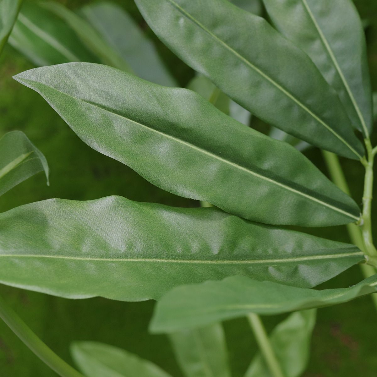 Philodendron Fun Bun Kunstplant 155cm