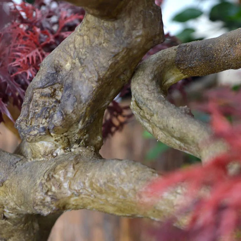 Kunstmatige Ming Aralia bonsai voor buiten in bordeauxrood met geteste UV-garantie.