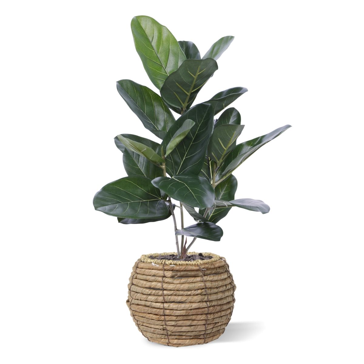 Ficus Audrey kunstplant 60cm