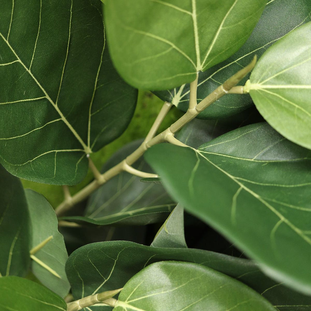 Ficus Audrey kunstplant 60cm