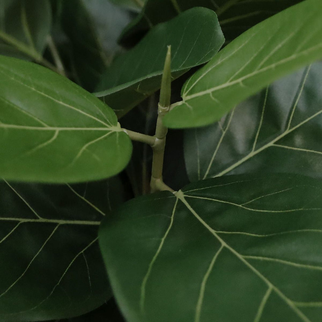 Ficus Audrey kunstplant 100cm