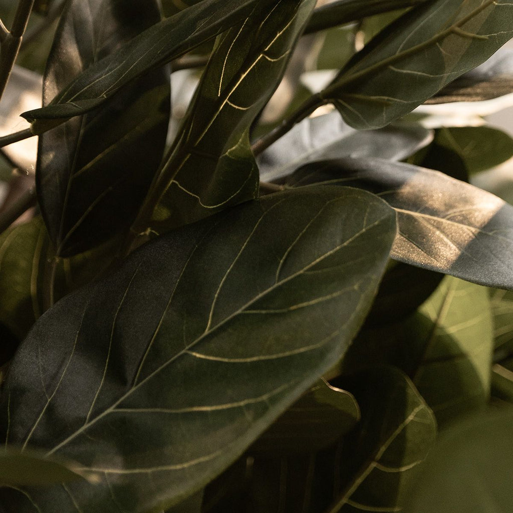 Ficus Audrey Kunstboom Deluxe 120cm