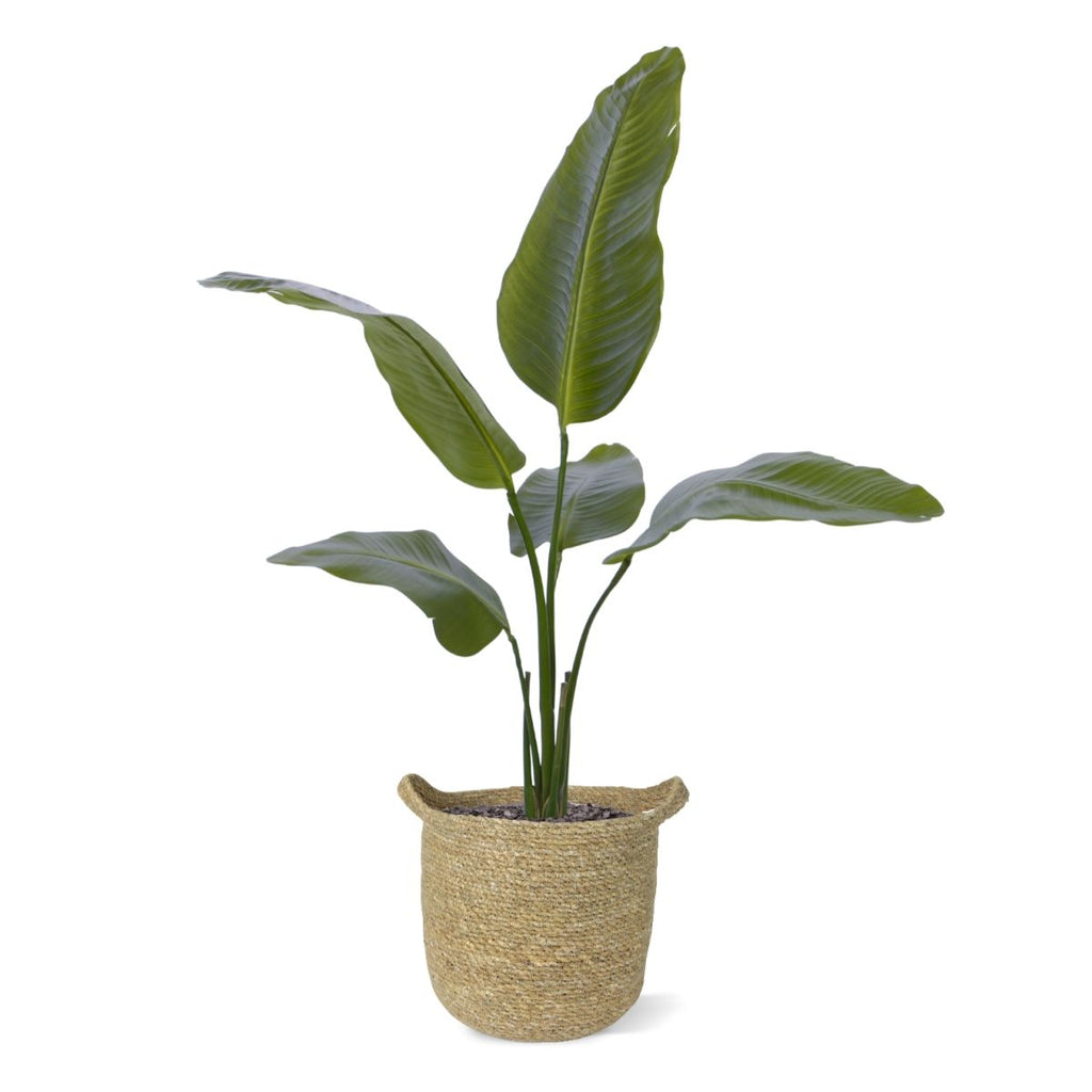Strelitzia Nicolai kunstplant 90cm