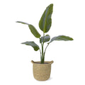 Strelitzia Nicolai kunstplant 90cm