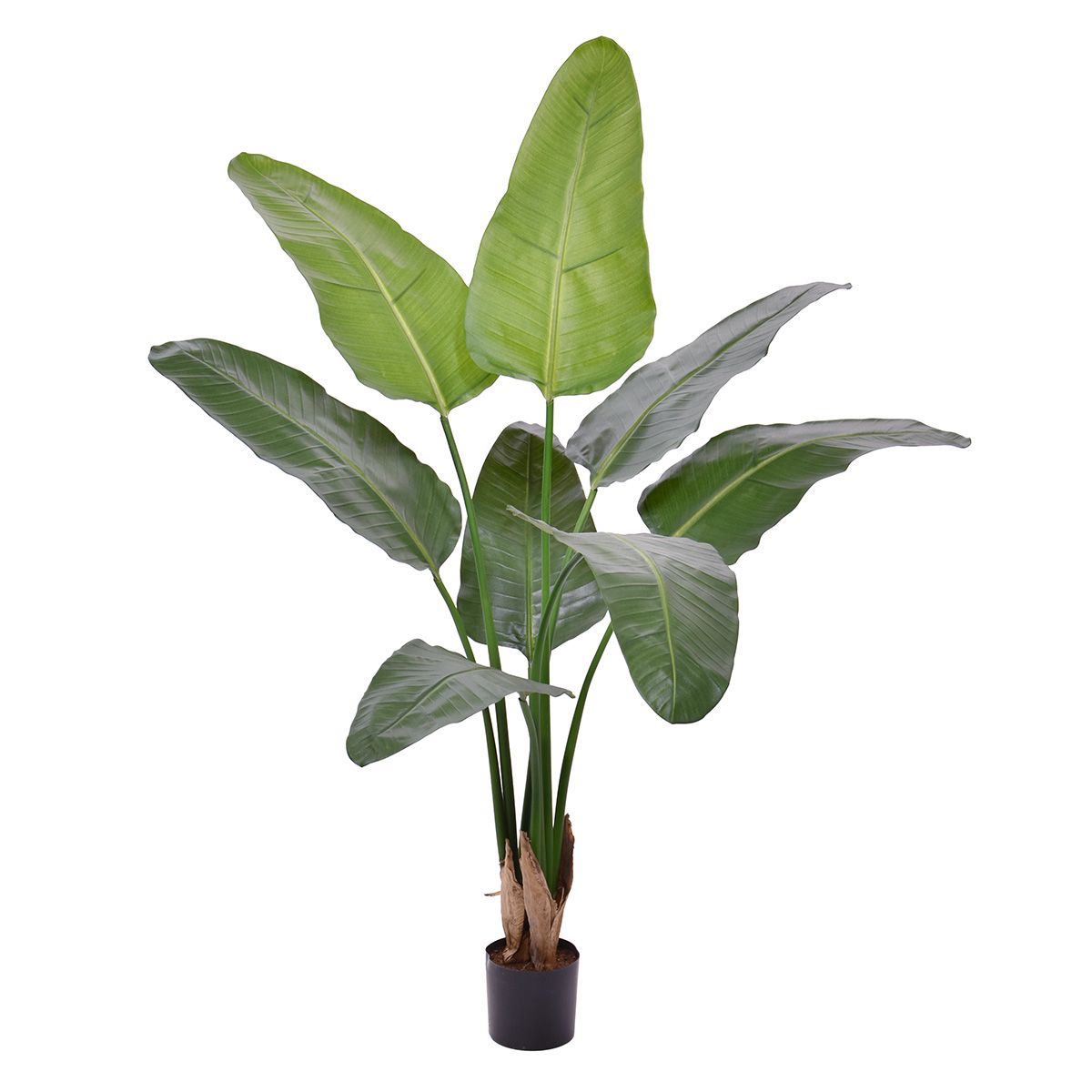 Strelitzia Nicolai deluxe Kunstpalm 125cm in pot