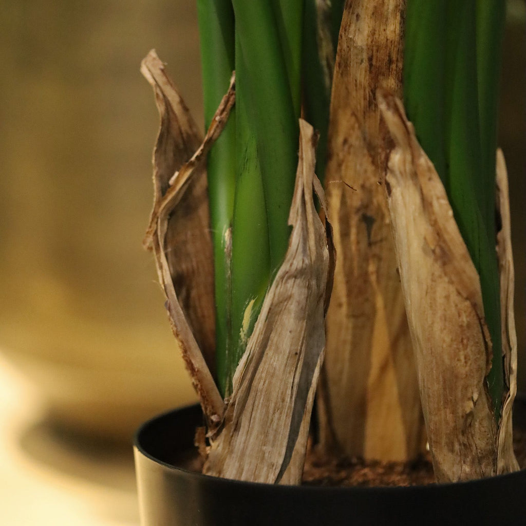 Strelitzia Nicolai deluxe Kunstpalm 170cm in pot
