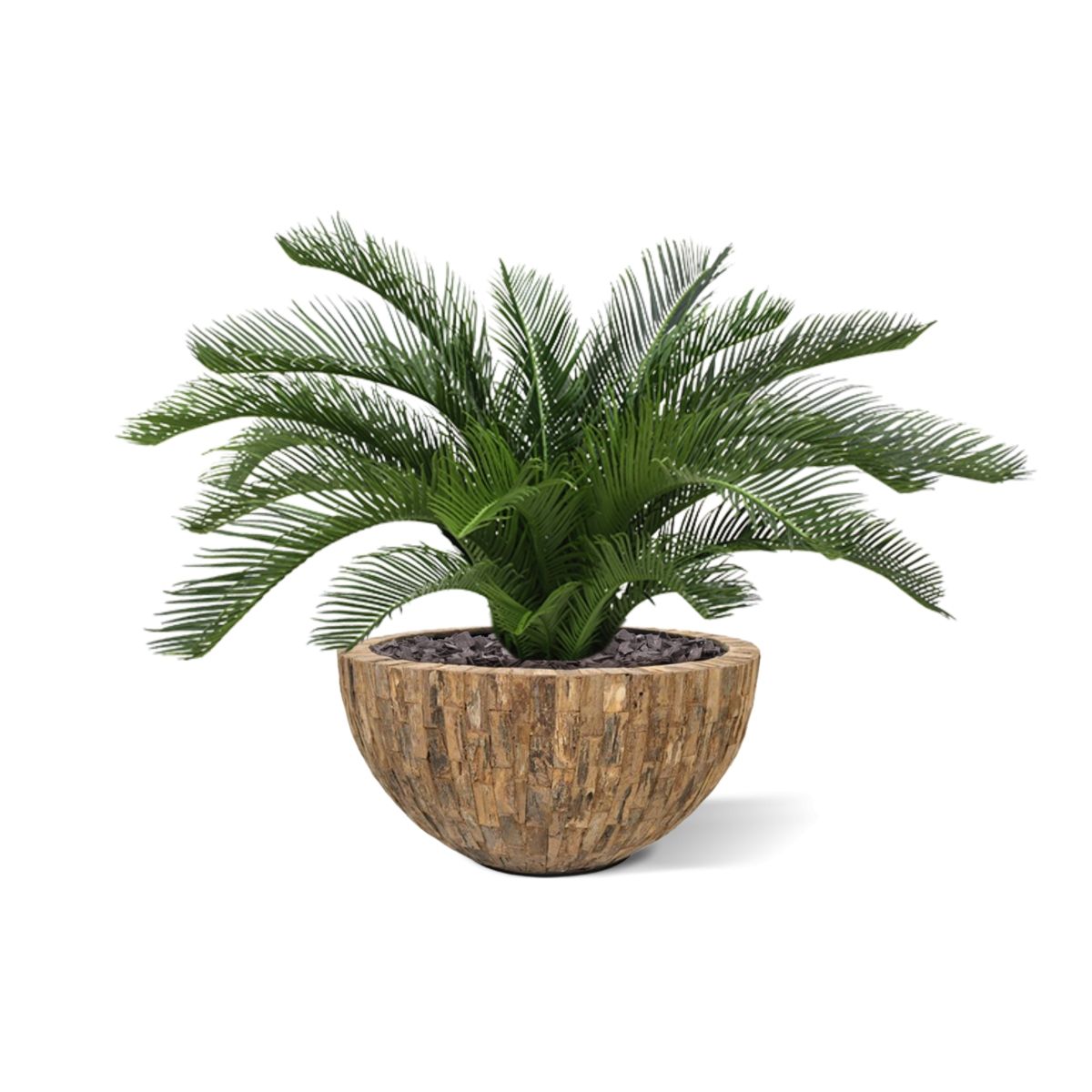 Cycas deluxe kunstpalm 60cm